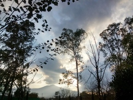 Sarita Yañez (Cielos de Tequis)